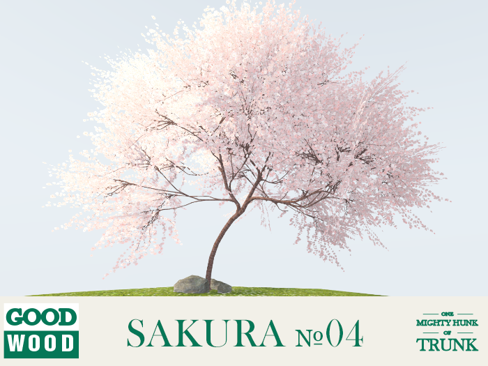 1477766777_Sakura04.png.976a2b567b5301ea77f1a8be8328ca61.png