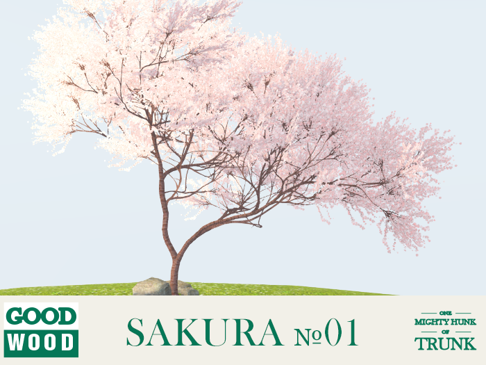 1992120089_Sakura01.png.fdeae2eaac7a83d85a343acf7783bb29.png