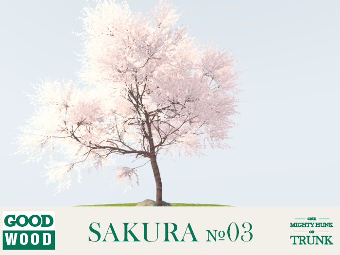 1994611247_Sakura03.png.d6bc1dc18716f7658f280a99b88ae734.png