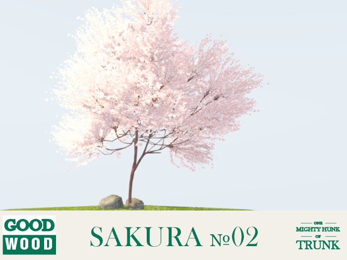 261276479_Sakura02.png.e28c1b7f668bc34ca0e657a0dc659d90.png