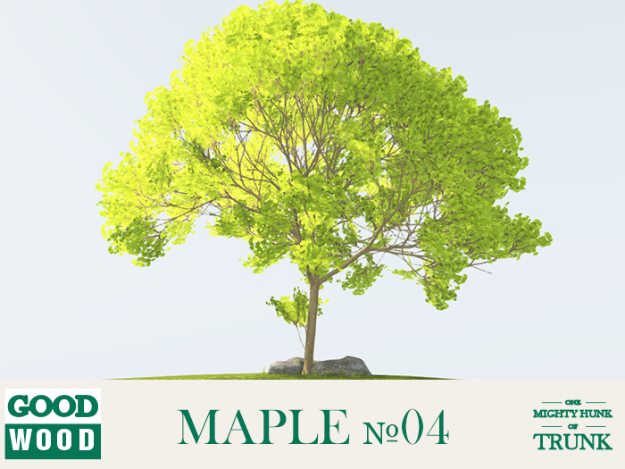 342281688_Maple04.png.4f24e60affee4b3a944ab4c563f6ae54.png