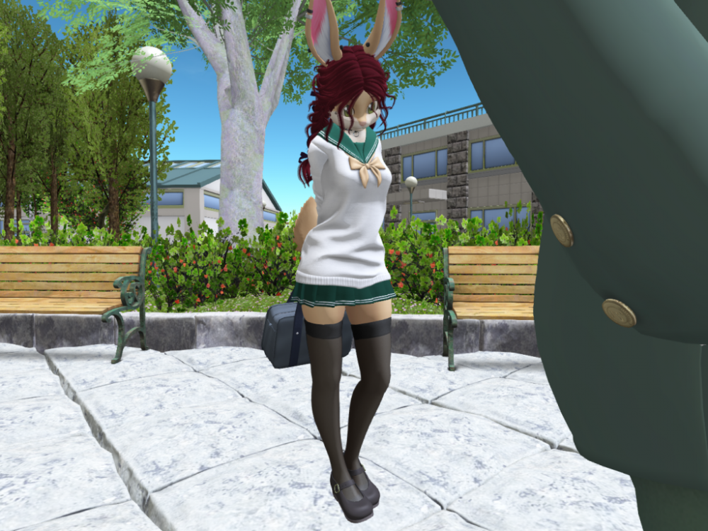 Kokoro bunny_001.png