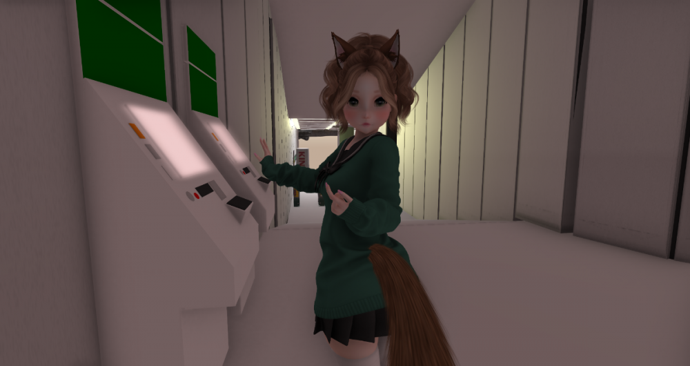 Snapshot_006.png